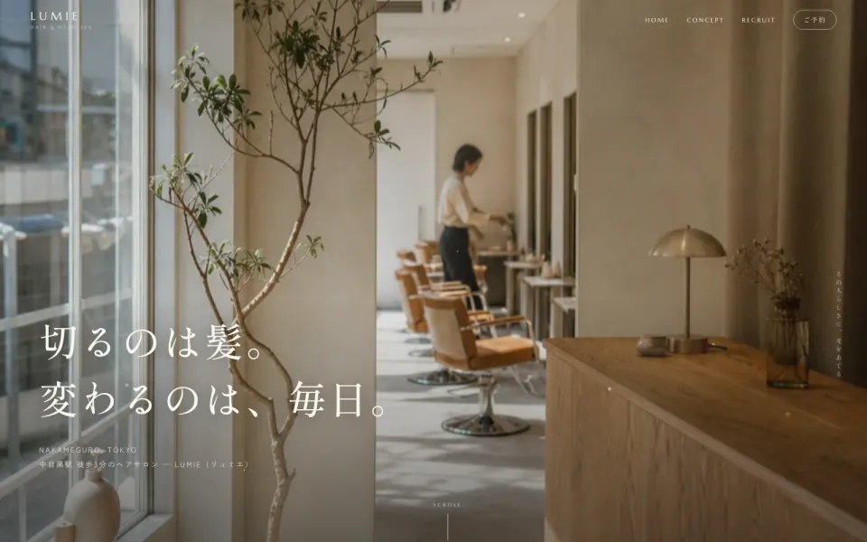 リュミエのデモサイトのファーストビュー